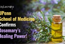 University of Pennsylvania School of Medicine Confirms the Viral Healing Power of Rosemary! University of Pennsylvania School of Medicine Confirms the Viral Healing Power of Rosemary