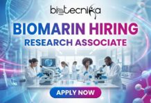 Openings for Research Jobs at BioMarin Careers | Apply for the Research Associate Role Now! Openings for Research Jobs at BioMarin Careers | Apply for the Research Associate Role Now!