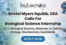 Latest Biological Science Internship at BMS Careers | Apply for the Intern Role Now! Latest Biological Science Internship at BMS Careers | Apply for the Intern Role Now!