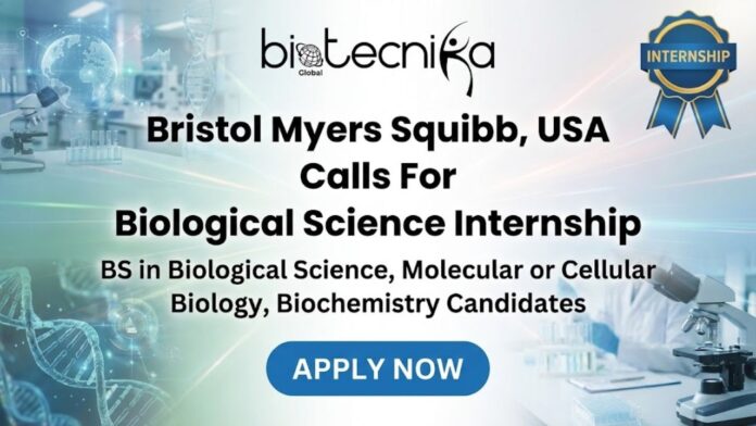 Latest Biological Science Internship at BMS Careers | Apply for the Intern Role Now!