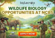 Wildlife Biology Opportunities at NCBS | MSc Admission Open for Global Life Science Students Apply now for the MSc Wildlife Biology program at NCBS. International students gain hands-on training, and opportunities in wildlife biology.