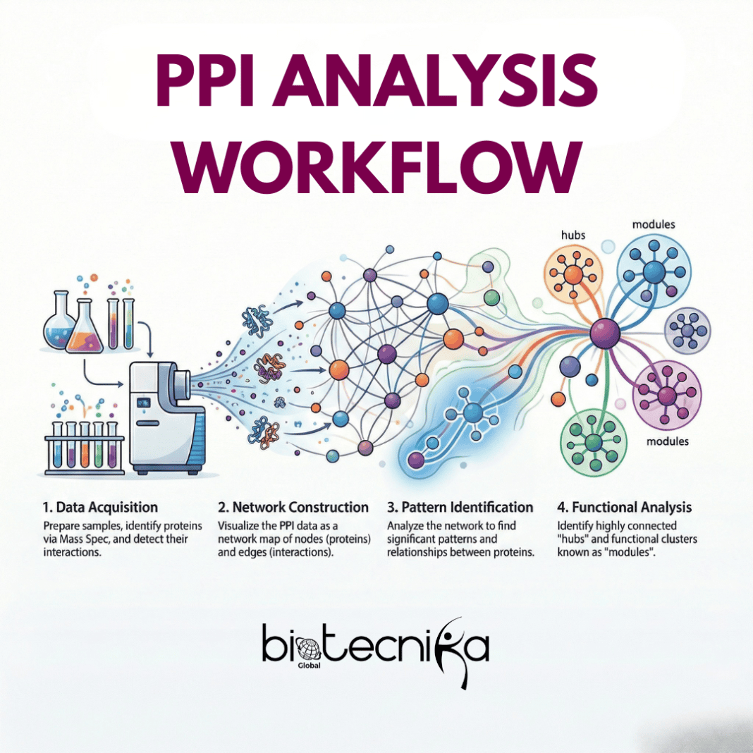 PPI Unlocked: Systematic Dive into Protein Interaction Networks