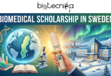Biomedicine Scholarship in Sweden | Karolinska Institutet Offers Master’s Scholarship Biomedical Scholarship in Sweden Karolinska Institutet Offers Master’s scholarship. Biomedical Scholarship in Sweden,' depicting a hand holding a glowing research grant scroll against a snowy Swedish landscape with Northern Lights, DNA strands, and laboratory equipment.