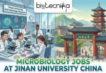 Microbiology Jobs in China | Fermentation Engineer at Jinan University Explore Microbiology Jobs in China as a Fermentation Engineer at Jinan University. Apply now for this life science research opportunity.
