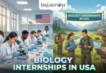 Biology Internship in the USA | Paid Internship Opportunity at Xcel Energy Biology Internship in the USA | Paid Internship at Xcel Energy. An illustration for "BIOLOGY INTERNSHIPS IN USA" with the Biotecnika Global logo at the top center. The left half shows a modern American research lab with diverse scientists, microscopes, and computers, while the right half depicts a group of biology interns in an outdoor field setting with mountains, a river, and wildlife, holding tablets. A banner over the outdoor scene and large text at the bottom both read "BIOLOGY INTERNSHIPS IN USA".