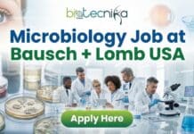 High-Paying Microbiology Technician Job at Bausch + Lomb USA Microbiology technician working in a cGMP laboratory at Bausch Lomb Tampa facility