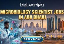 Latest Scientist Jobs at M42, Abu Dhabi | Join for the Microbiology Scientist Role Now! Latest Scientist Jobs at M42, Abu Dhabi | Join for the Microbiology Scientist Role Now!