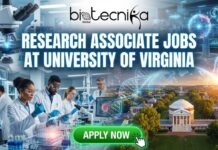 University of Virginia Hires Research Associate in the USA | Apply for the Biology Jobs Now! University of Virginia Hires Research Associate in the USA | Apply for the Biology Jobs Now!