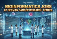 German Cancer Research Center Hiring Bioinformaticians | Apply for the Bioinformatics Jobs Now! German Cancer Research Center Hiring Bioinformaticians | Apply for the Bioinformatics Jobs Now!