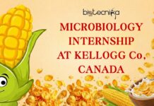 Latest Microbiology Internship Opportunity at Kellogg Co., Canada | Don’t Miss it! Latest Microbiology Internship Opportunity at Kellogg Co., Canada | Don't Miss it!