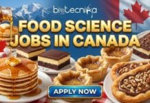 Openings for Food Science Jobs at Dessert Holdings in Canada | Apply Now! Openings for Food Science Jobs at Dessert Holdings in Canada | Grab the Opportunity to be a Regulatory Affairs Specialist Now!