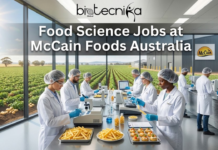 Food Science Jobs in Australia | McCain Foods is Hiring Regulatory Specialist Food Science Jobs in Australia McCain Foods is Hiring Regulatory Specialist. An illustration by Biotecnika Global featuring a team of food scientists in a modern laboratory with large windows overlooking a potato field and a McCain Foods facility. They are working with samples of french fries and using analytical equipment. The text "Food Science Jobs at McCain Foods Australia" is prominent in the center, below the Biotecnika Global logo.