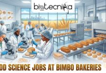 Food Science Jobs in USA | Explore Latest Job Openings at Bimbo Bakeries Food Science Jobs in USA | Job Openings at Bimbo Bakeries. An illustration featuring the "biotecnika Global" logo at the top. Below it, a split scene shows a modern food science laboratory on the left, where diverse scientists in lab coats and hairnets analyze bread samples using microscopes and other instruments. On the right, a large-scale bakery production facility with a "BIMBO BAKERIES USA" machine is shown, with loaves of bread and buns on conveyor belts. In the background, a window overlooks a city skyline and a wheat field. The text "FOOD SCIENCE JOBS AT BIMBO BAKERIES USA" is across the bottom in large, bold letters.