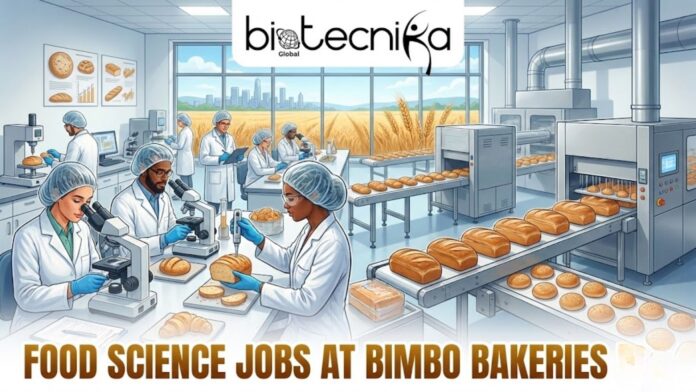 Food Science Jobs in USA | Job Openings at Bimbo Bakeries. An illustration featuring the 