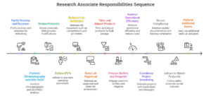 Key Responsibilities of Research Associate Role_ - visual selection