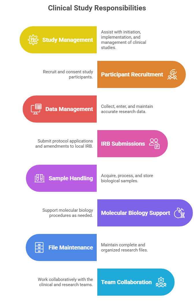 Key Responsibilities_ - visual selection