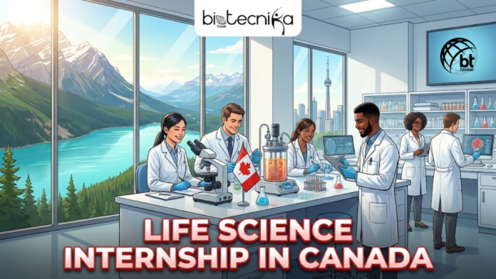 Life Science Internship in Canada Roche Offers Paid Global Internship Opportunity. A featured image with the Biotecnika Global logo at the top center. The illustration shows a modern laboratory filled with diverse scientists working with microscopes and biotech equipment. Large windows in the background offer panoramic views of Canadian scenery: majestic mountains and a lake on the left, and the Toronto city skyline featuring the CN Tower on the right. A Canadian flag is on a workbench, and a monitor displays a DNA helix combined with a maple leaf. Large, bold red and white text across the bottom reads 