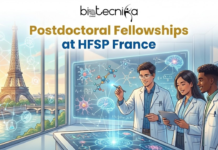 Postdoctoral Fellowships at HFSP | Postdoc Fellowship Program in France Postdoctoral Fellowships at HFSP France. An inspiring promotional image for "Postdoctoral Fellowships at HFSP France" by Biotecnika Global, with the logo centered at the top. The visual features three diverse young scientists in white lab coats collaborating around a glowing interactive digital table that displays complex biological data, including brain scans, neurons, and molecular structures. In the background, a large floor-to-ceiling window reveals a stunning view of the Eiffel Tower in Paris across the River Seine at sunset, with scientific networking icons subtly overlaid on the sky. The title is prominently displayed in bold gold and blue text.