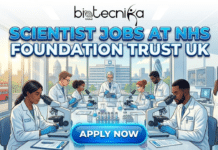 Scientist Jobs at Great Western Hospitals NHS Trust UK | Apply Now SCIENTIST JOBS AT NHS FOUNDATION TRUST UK. A promotional banner for "Biotecnika Global" features the text "SCIENTIST JOBS AT NHS FOUNDATION TRUST UK" in large blue letters. The background is a cartoon illustration of a diverse group of scientists in a modern laboratory, wearing lab coats with the "NHS" logo and working with microscopes. Through a large window, a UK city skyline with Big Ben, a red double-decker bus, and a hospital building is visible. A blue "APPLY NOW" button is at the bottom.