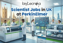 Explore Scientist Jobs in UK | PerkinElmer Hiring Life Science Graduates Scientist Jobs In UK PerkinElmer Hiring Life Science Gradates. An illustration for "Scientist Jobs in UK at PerkinElmer," featuring the Biotecnika Global logo at the top. The scene is a modern laboratory with large windows overlooking the Houses of Parliament and the London skyline with the Union Jack. Five diverse scientists in white coats are working with advanced PerkinElmer-branded analytical instruments and large data screens. The text "Scientist Jobs in UK at PerkinElmer" is prominent in the center.