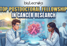 CRI Irvington Postdoctoral Fellowship – Applications Invited Top Postdoctoral Fellowship in Cancer Research You Can’t Miss. An illustration by Biotecnika Global promoting "TOP POSTDOCTORAL FELLOWSHIP IN CANCER RESEARCH". The image depicts two diverse scientists in a modern laboratory examining a holographic projection of a cancer cell marked with a pink ribbon. A gold "TOP FELLOWSHIP" medal badge is displayed on the right, and a university campus is visible through a large window in the background at sunrise.