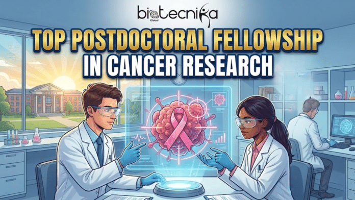 Top Postdoctoral Fellowship in Cancer Research You Can’t Miss. An illustration by Biotecnika Global promoting