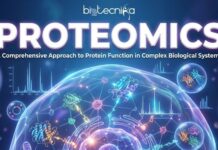 Proteomics: A Comprehensive Approach to Protein Function in Complex Biological Systems Proteomics: A Comprehensive Approach to Protein Function in Complex Biological Systems. A scientific featured image titled "PROTEOMICS" with the subtitle "A Comprehensive Approach to Protein Function in Complex Biological Systems." The "biotecnika Global" logo is at the top center. The background is a dark blue, high-tech digital space featuring a large, glowing biological cell at the center. The cell is surrounded by 3D protein structures, molecular networks, and floating bubbles containing various protein folds. Superimposed on the scene are several analytical mass spectrometry graphs showing protein peaks, symbolizing the data-driven nature of proteomic research.