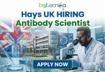 Exciting Antibody Scientist Job in UK: Join a Leading Biopharma Team! Antibody Scientist working in a modern biopharma laboratory, performing molecular biology and therapeutic antibody research. hays careers