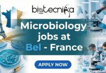 Join Bel Careers: Exciting Microbiology Technician Role in Vendôme, France Bel Careers Microbiology and Molecular Biology Technician in Vendôme – Food Research & Innovation Role