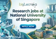 High-Impact Research Job at National University of Singapore Research Assistant research job at National University of Singapore Food Science and Technology department