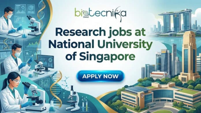 Research Assistant research job at National University of Singapore Food Science and Technology department