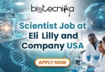 High-Impact Scientist Job in USA: Associate Scientist Role at Eli Lilly & Company Associate Scientist job at Eli Lilly and Company Boston Research and Development careers