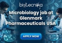 High-Growth Microbiology Analyst Role at Glenmark Pharmaceuticals USA Microbiology analyst working in GMP laboratory at Glenmark Pharmaceuticals