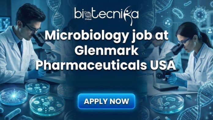 Microbiology analyst working in GMP laboratory at Glenmark Pharmaceuticals