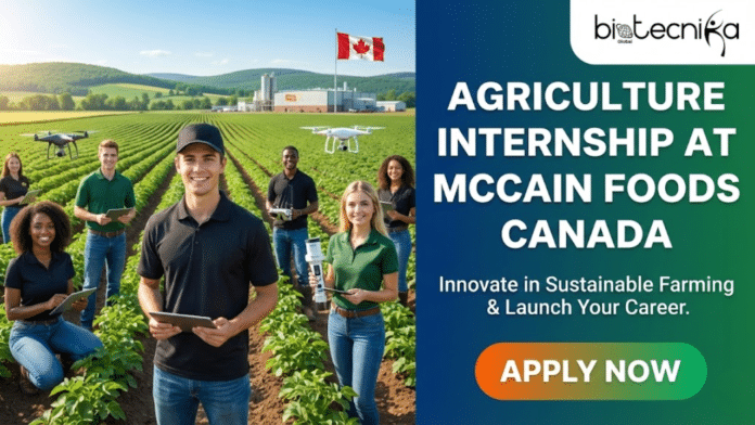 Agriculture Internship at McCain Foods Canada Earn CAD $26hr. A professional recruitment banner for Biotecnika Global featuring an Agriculture Internship at McCain Foods Canada. The left side shows a diverse group of smiling young interns in a vast, lush green potato field, using digital tablets and agricultural drones, with a McCain facility and the Canadian flag in the background. The right side features a dark blue and green gradient background with the Biotecnika Global logo at the top, bold white text reading