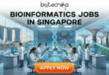 Bioinformatics Jobs in Singapore: Don’t Miss This Scientist Role at Oxford Nanopore Bioinformatics Jobs in Singapore Don’t Miss This Scientist Role at Oxford Nanopore. A professional recruitment banner for Biotecnika Global titled "BIOINFORMATICS JOBS IN SINGAPORE" in bold black text. The illustration shows a diverse team of scientists in a futuristic glass-walled laboratory. They are working with tablets and digital displays featuring DNA helices and molecular models. Large panoramic windows offer a view of the Singapore skyline, including the Marina Bay Sands and the Supertree Grove at Gardens by the Bay. A bright orange "APPLY NOW" button is centered at the bottom.