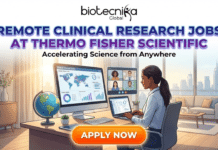 Remote Clinical Research Jobs at Thermo Fisher Scientific | Apply Now Remote Clinical Research Jobs at Thermo Fisher Scientific | Apply. A professional recruitment banner for Biotecnika Global titled "REMOTE CLINICAL RESEARCH JOBS AT THERMO FISHER SCIENTIFIC" in glowing blue and purple text, with the subtitle "Accelerating Science from Anywhere." The illustration shows a woman in a sunlit home office, working on a desktop computer that displays clinical trial data, graphs, and a world map. She is also on a video conference call with three other colleagues. A globe sits on her desk, and a city skyline is visible through a large window. A prominent orange "APPLY NOW" button is at the bottom.