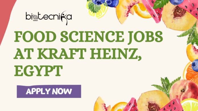 Openings for Regulatory Affairs Jobs at Kraft Heinz in Egypt | Apply Now for the Regulatory Affairs Coordinator Role!