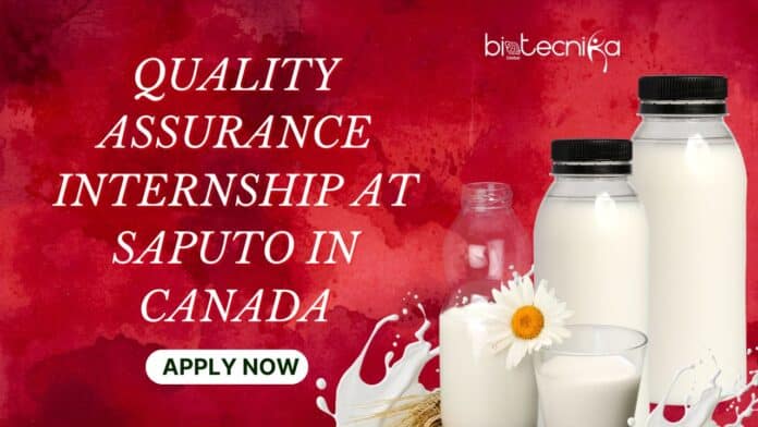 Latest Quality Assurance Internship at Saputo Careers in Canada | Don't Miss this Wonderful Opportunity!