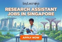 National University of Singapore Hires Research Assistants | Join for the Research Jobs Now! National University of Singapore Hires Research Assistants | Join for the Research Jobs in Singapore Now!