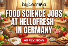 Exclusive Food Science Jobs at HelloFresh in Germany | Apply Now! Exclusive Food Science Jobs at HelloFresh in Germany | Apply Now!