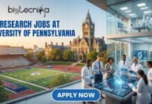 University of Pennsylvania Hiring Freshers for the Research Specialist Position | Don’t Miss the Opportunity! University of Pennsylvania Hiring Freshers for the Research Specialist Position | Don't Miss the Opportunity!