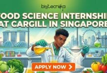 Industry Leading Food Science Internship at Cargill in Singapore | Apply for the R&D Intern Role Now! Industry Leading Food Science Internship at Cargill in Singapore | Apply for the R&D Intern Role Now!