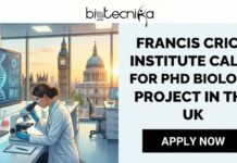 Francis Crick Institute Calls For PhD Biology Project 2026 in the UK | Don’t Miss this Opportunity! PhD Project at Francis Crick Institute in the UK. Apply for the Biology Project Opportunity at Francis Crick Institute.