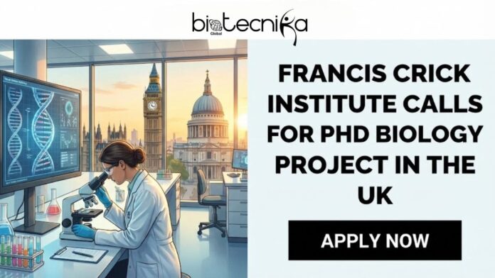 PhD Project at Francis Crick Institute in the UK. Apply for the Biology Project Opportunity at Francis Crick Institute.