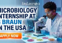Latest Paid Microbiology Internship at B. Braun in the USA | Earn Upto $26.50/Hour Microbiology Internship at B. Braun. Apply for the QC Microbiology Intern Role at B. Braun Careers in the USA. Paid Internship in the USA.