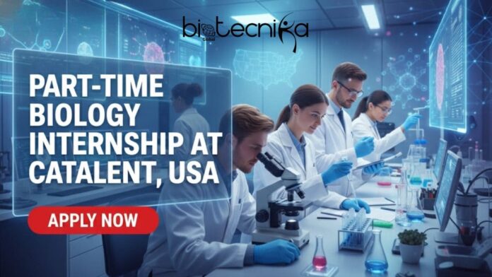 Paid Biology Internship at Catalent in the USA. Apply for the Lab Assistant Role at Catalent Careers in the USA.