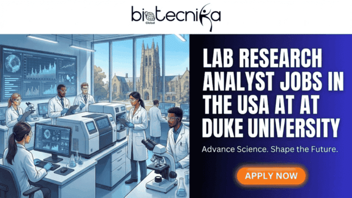 High-Impact Lab Research Analyst Jobs in the USA at Duke University Apply Today. A featured image for a job posting with the