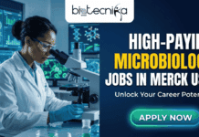 High Paying Microbiology Jobs at Merck USA | Applications Invited!! High Paying Microbiology Jobs at Merck USA Applications Invited! An advertisement banner featuring the Biotecnika Global logo in the top left. On the left side, a Black woman scientist in a white lab coat, gloves, and safety glasses is looking into a microscope in a modern laboratory with digital screens displaying scientific data. On the right side, large white and yellow text reads "HIGH-PAYING MICROBIOLOGY JOBS IN MERCK USA." Below it, smaller text says "Unlock Your Career Potential." At the bottom right, there is a glowing green "APPLY NOW" button.