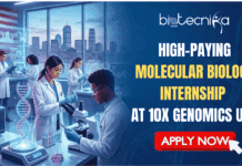 High-Paying Molecular Biology Internship in USA | Don’t Miss This Opportunity High-Paying Molecular Biology Internship in USA Don't Miss This Opportunity. A promotional banner for a "High-Paying Molecular Biology Internship in USA" by Biotecnika Global. At the top center is the Biotecnika Global logo. On the left, a modern laboratory scene shows a diverse group of five scientists in lab coats working with advanced equipment, including microscopes and digital displays. A large US flag and a cityscape with the Boston skyline are visible through a window. On the right, against a dark blue background with a DNA helix pattern, large text reads "High-Paying Molecular Biology Internship in USA," with an orange "APPLY NOW" button below it.